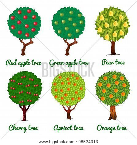 Fruit Trees