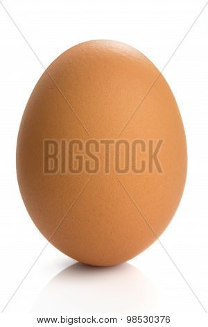 Egg