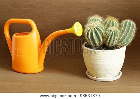 You Can Lead Horse To Water But You Can`t Make Him Drink
