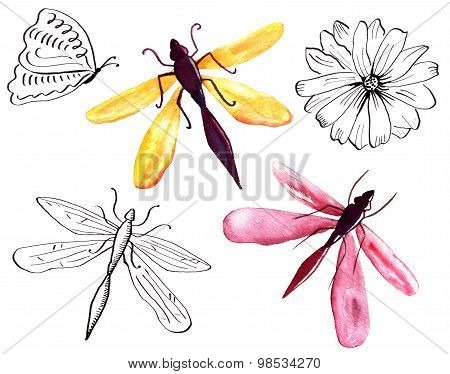 A set of watercolour drawings: a butterfly, some dragonflies and a flower, on white background