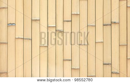 pattern of bamboo background in columns