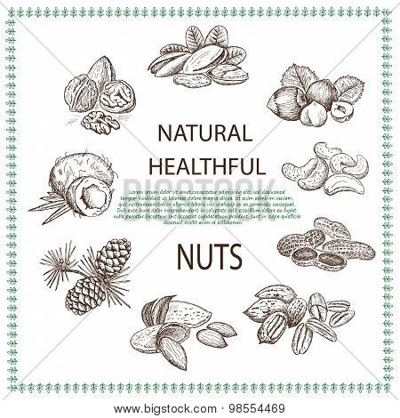 nuts set