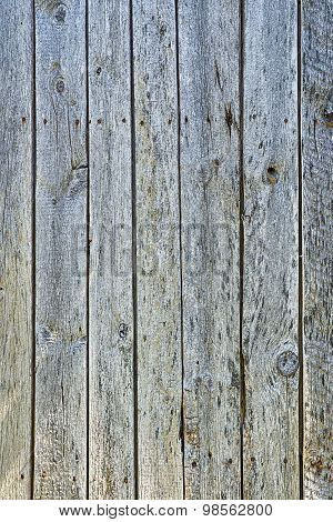 Old wood texture with natural patterns