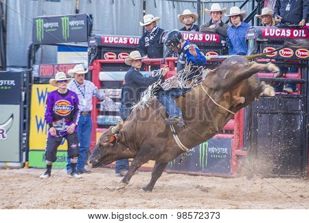 Last Cowboy Standing