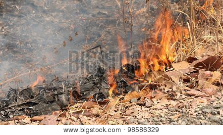 Fire Is Burning Dry Leaves.