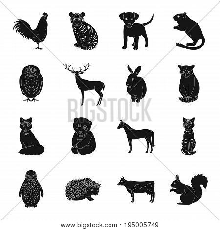 Deer, tiger, cow, cat, rooster, owl and other animal species.Animals set collection icons in black style vector symbol stock illustration .