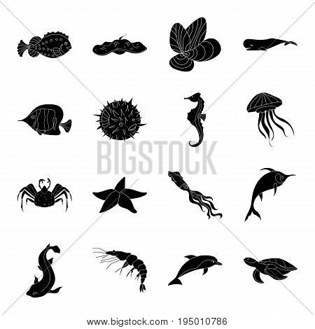 Sea animals set icons in black design. Big collection of sea animals vector symbol stock illustration
