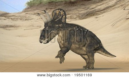 einiosaur en la playa
