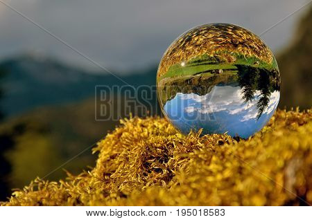 crystal ball in the wildness with reflecations