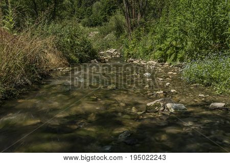 Lesnicky creek in Pieniny national park in sunny summer day