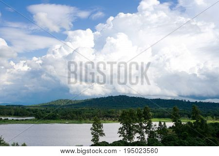 Water tree and sky with white cloud cover.