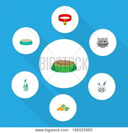 Flat Icon Animal Set Of Bunny, Kitty, Feeding And Other Vector Objects. Also Includes Necklace, Kitty, Plant Elements.