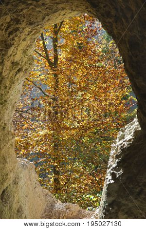 Autumn tree with yellow leaves through the hole of the Diana Grotto of Ermitage Arlesheim Switzerland