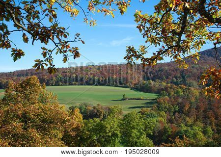 Autumn frame: forest and fields. Aerial view from the wall of the Dorneck castle