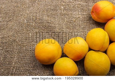 fresh apricots on burlap sack on table
