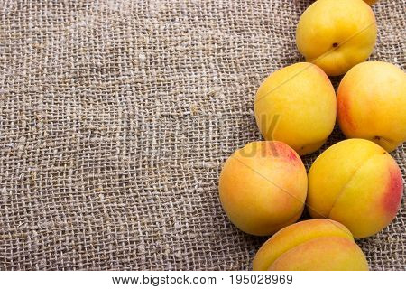 fresh apricots on burlap sack on table