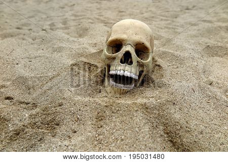 Skeleton remains buried by sand in the desert