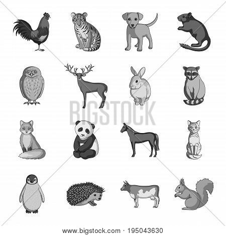 Deer, tiger, cow, cat, rooster, owl and other animal species.Animals set collection icons in monochrome style vector symbol stock illustration .