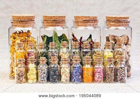 Healing herbs and tinctures in bottles on sackcloth, dried flowers, herbal medicine.