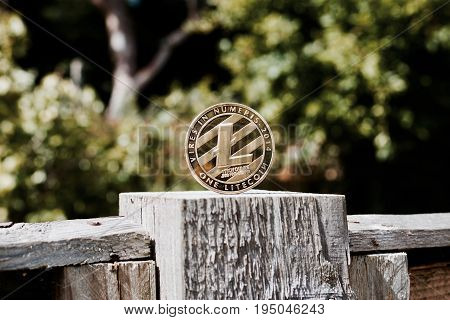 Gold Litecoin Coin
