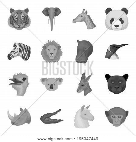 A chair, a beer, a sign, items for a pub.Pub set collection icons in monochrome style vector symbol stock illustration .