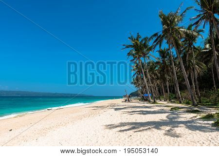 BORACAY WESTERN VISAYAS PHILIPPINES - JANUARY 14 2015: Huge coconut trees tents white sand and green sea composes the beautiful Puka Beach.