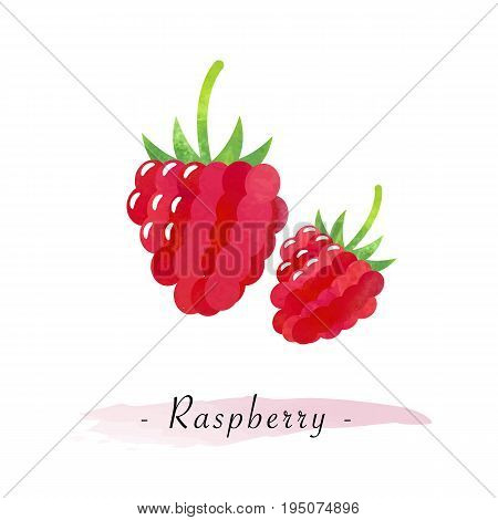 Colorful Watercolor Texture Vector Healthy Fruit Raspberry