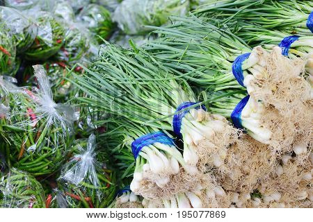 Spring onion and chilli in fresh market Healthy vegetables herb. material raw for cooking. texture background. Scientific name Allium ascalonicum.