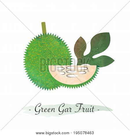 Colorful Watercolor Texture Vector Healthy Green Gac Fruit