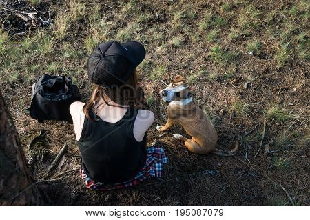 Female hiker and dog take rest under tree in forest. Young woman and staffordshire terrier puppy sit under fur tree in camping place outdoors