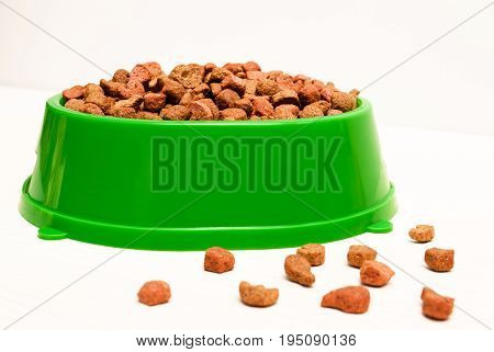 dry food for pets in green plastic bowl