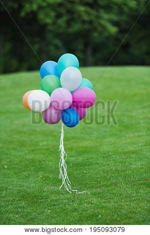 Bunch of colorful balloons in empty green park at daytime