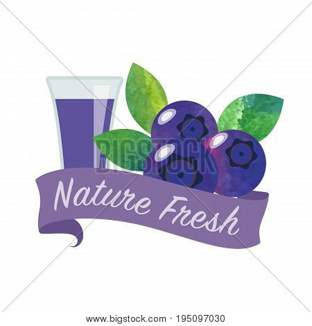 Colorful Watercolor Texture Vector Nature Organic Fresh Fruit Juice Banner Blueberry