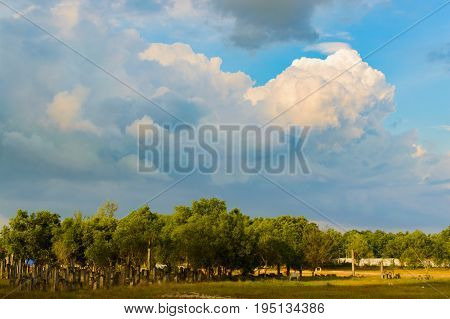 Monumental Huge Clouds