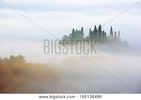 Beautiful foggy sunrise in Tuscany, Italy with vineyard and clouds. Natural idillyc seasonal autumn background