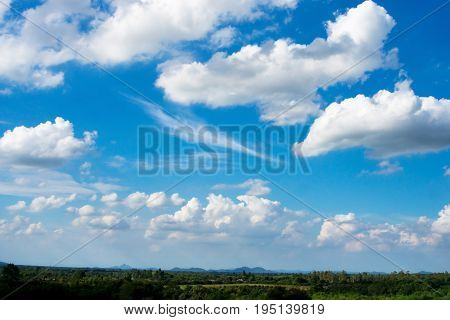 Water tree and sky with white cloud cover.