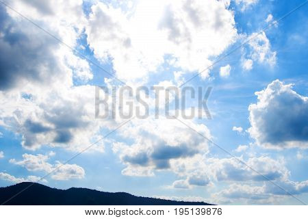 Water tree and sky with white cloud cover.