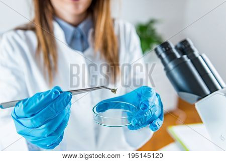 Scientific Research, One Woman Only, Toned Image