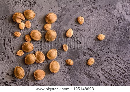 Apricot kernel on grey stone background. Vegetarian food