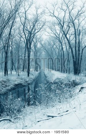 Snowy Stream In The Woods