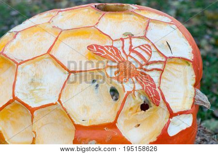 CHADDS FORD, PA - OCTOBER 26: View of Honey Bee pumpkin at The Great Pumpkin Carve carving contest on October 26, 2013