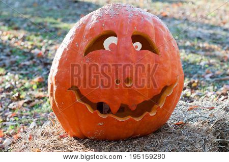 CHADDS FORD, PA - OCTOBER 26: View of The Great Pumpkin Carve carving contest on October 26, 2013