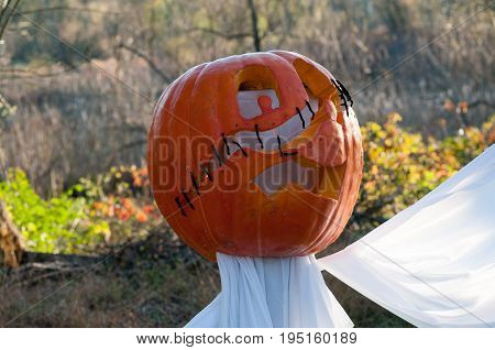 CHADDS FORD, PA - OCTOBER 26: View of The Great Pumpkin Carve carving contest on October 26, 2013