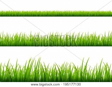 Green grass meadow border vector pattern. Spring or summer plant field lawn. Grass background.