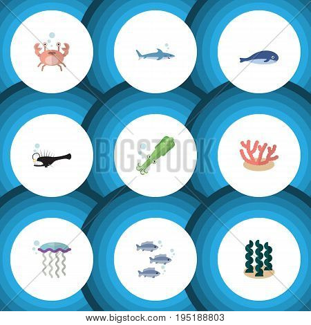 Flat Icon Sea Set Of Medusa, Fish, Tuna And Other Vector Objects. Also Includes Algae, Jellyfish, Shark Elements.