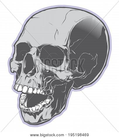 Angry skull with open mouth. Design element
