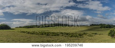 Fields with hay in Ceske Stredohori mountains in summer morning
