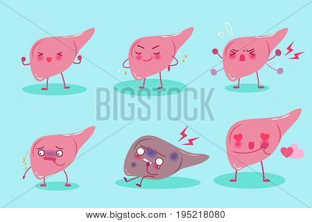 cute cartoon liver on the blue background