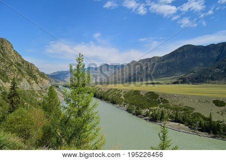 Stream of Katun river flows between hills in Altai mountains on a blue sky wih white clouds background. Altay Republic Siberia Russia.