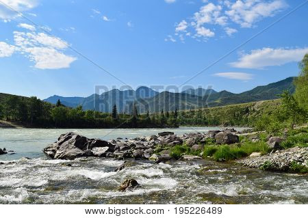 Stream of Katun river flows between stones forest and hills in Altai mountains. Altay Republic Siberia Russia.